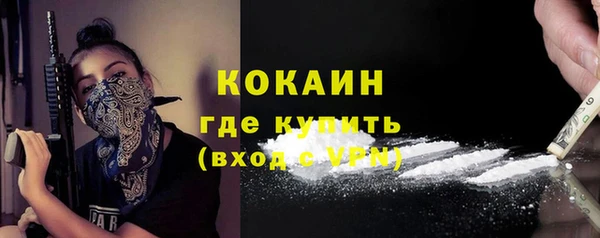 крисы Ростов