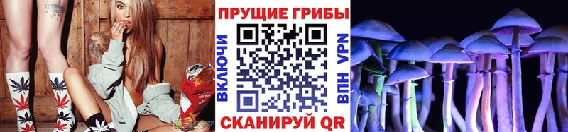 Псилоцибиновые грибы Psilocybe  Ликино-Дулёво 